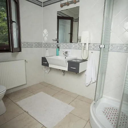 Garden And Bed and breakfast Bucarest